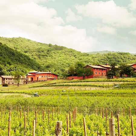 Agriturismo L'Uva E Le Stelle Faedis Ngoại thất bức ảnh