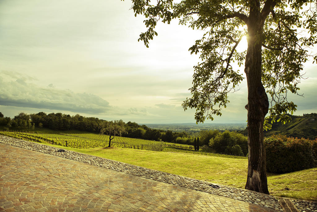 Agriturismo L'Uva E Le Stelle Faedis Ngoại thất bức ảnh