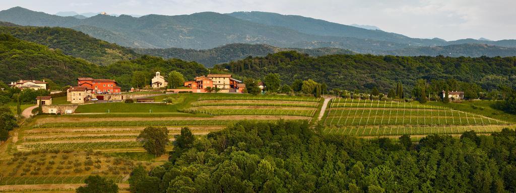 Agriturismo L'Uva E Le Stelle Faedis Ngoại thất bức ảnh