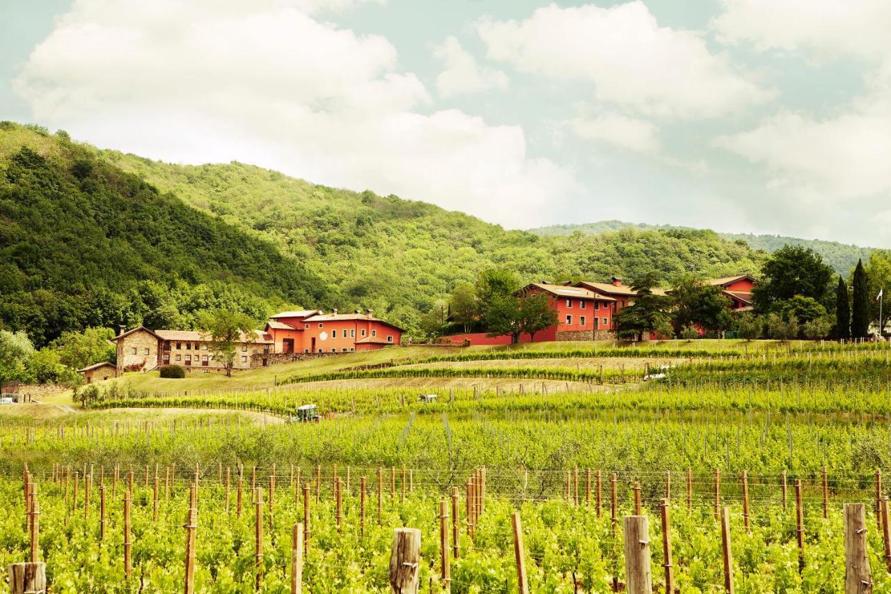 Agriturismo L'Uva E Le Stelle Faedis Ngoại thất bức ảnh