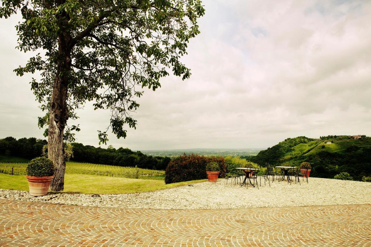 Agriturismo L'Uva E Le Stelle Faedis Ngoại thất bức ảnh