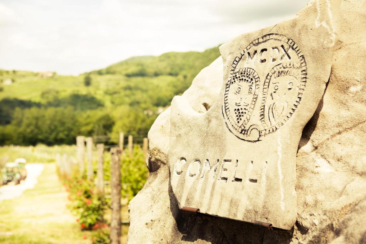 Agriturismo L'Uva E Le Stelle Faedis Ngoại thất bức ảnh