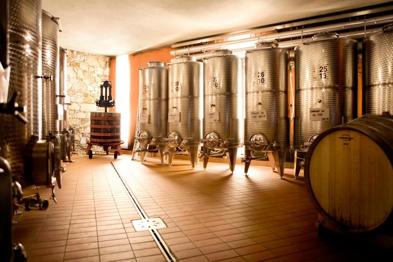 Agriturismo L'Uva E Le Stelle Faedis Ngoại thất bức ảnh