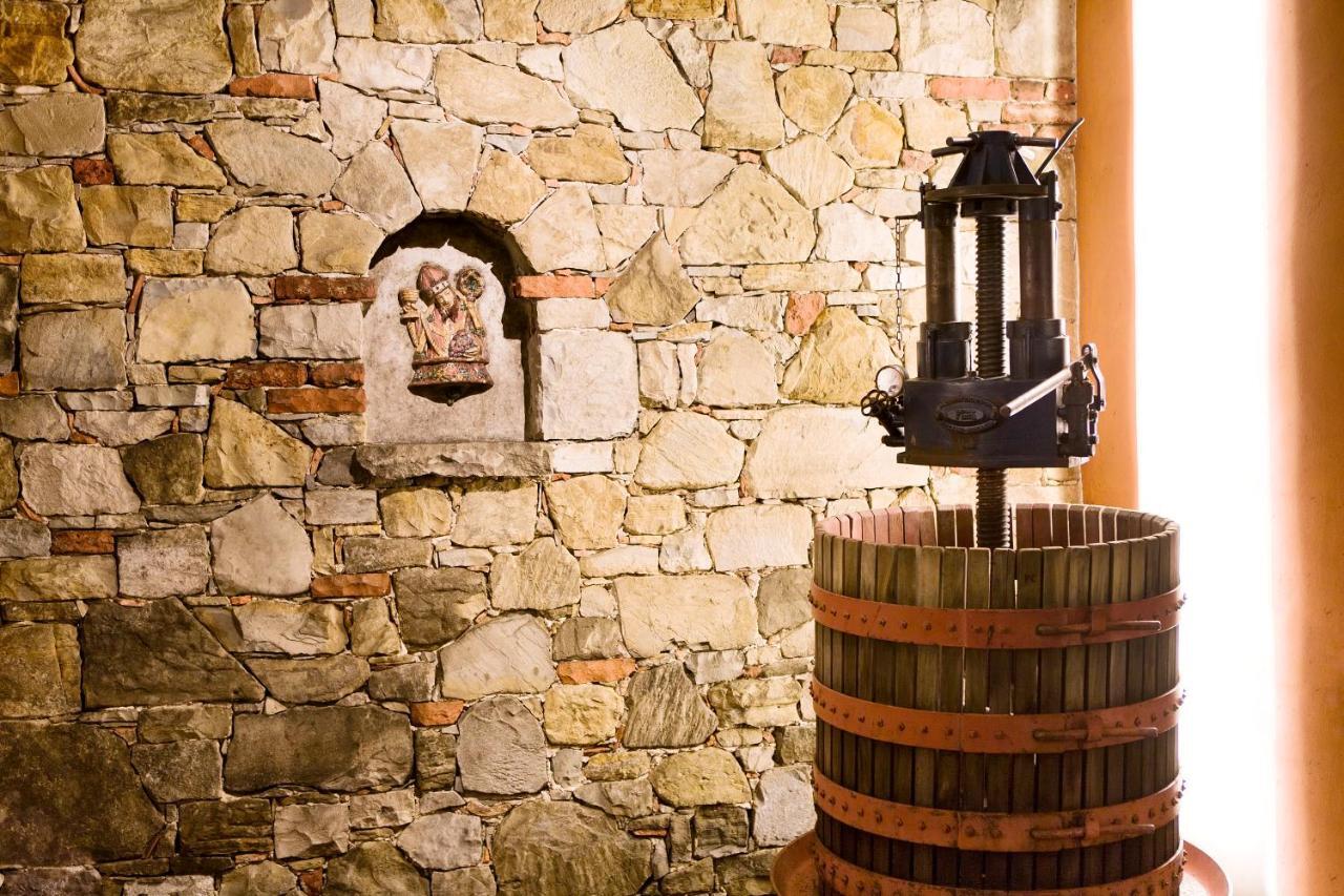 Agriturismo L'Uva E Le Stelle Faedis Ngoại thất bức ảnh
